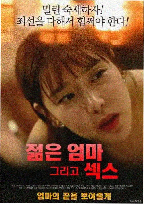 钢之炼金术师 高分神作